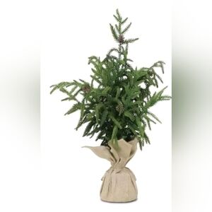 Artificial Mini Christmas Tree - 2 FT Small Christmas Tree for Holiday style 5in